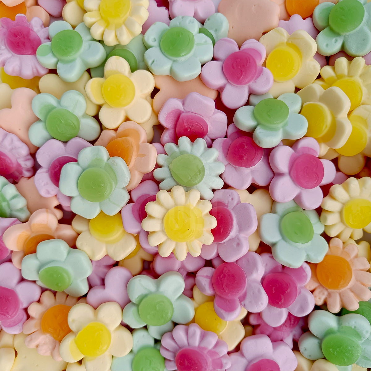 Pastelgekleurde schuimsnoepjes in bloemvorm (Frisia Bloemen)